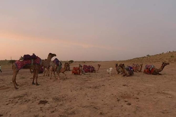 Sun Set Safari with Dinner - Who this safari is best for