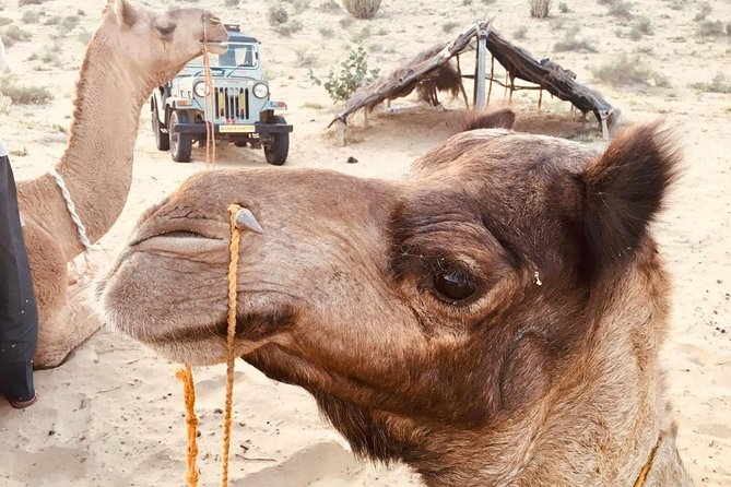 Sun Set Safari with Dinner - The drive from Jaisalmer, and why pickup is more than convenience