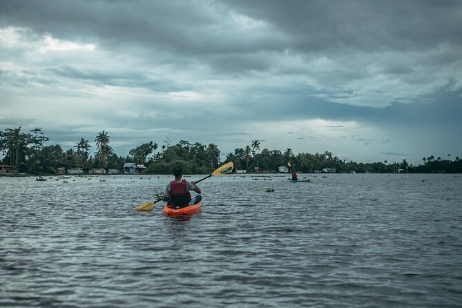 Sunrise Kayaking in Magical Alleppey Backwater Village - Stop by stop: what Alleppey, Punnamada Lake, and Kuttanad feel like