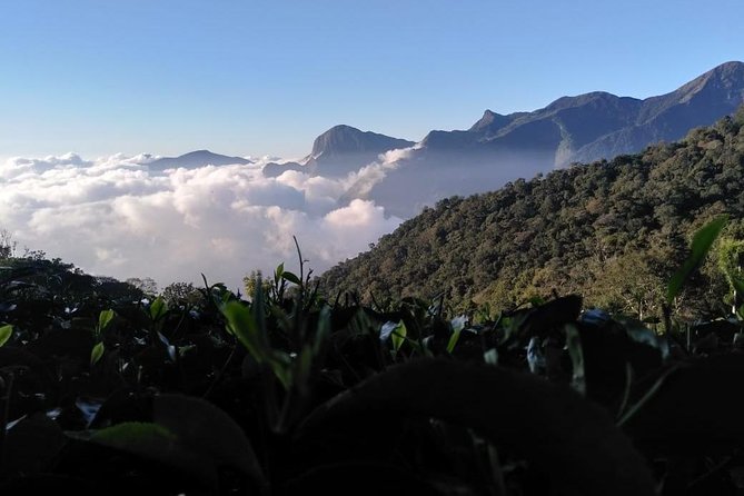 Sunrise Tour in Top Station, Munnar ( By Munnar Info) - Sunrise in Top Station: why the 4:30 am start makes sense