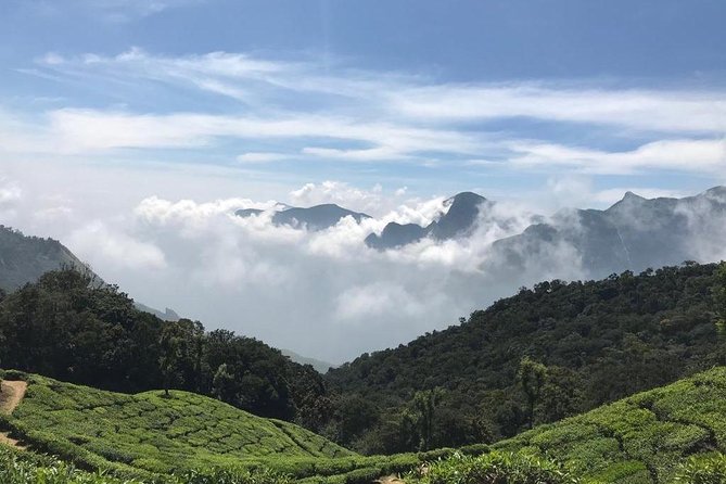 Sunrise Tour in Top Station, Munnar ( By Munnar Info) - Gear and real-world tips for a pre-dawn mountain tour