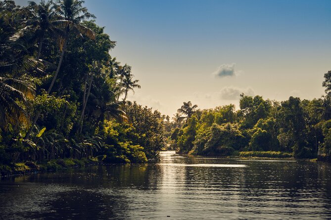 Sunset Cruise with Village Life and Local Food - Fishing Nets, Village Work, and the Calm of Canoe Time