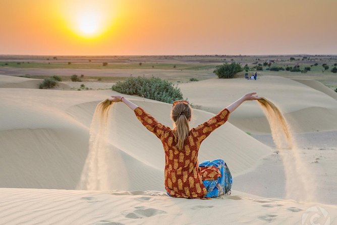 Sunset Safari With Dinner - The camel ride: about 90 minutes, your own camel, and watching the light change