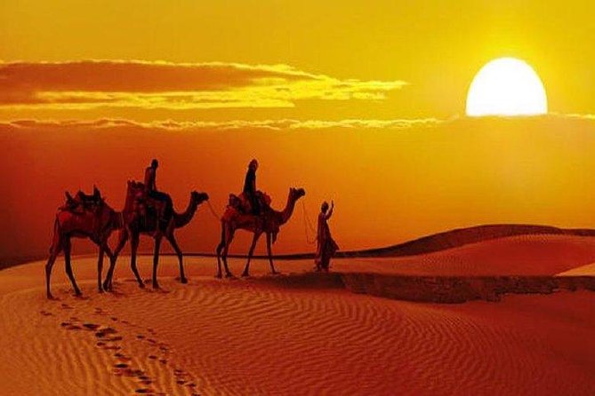 Sunset Safari With Dinner - Guides, camel drivers, and why the “care” part matters