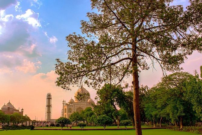 Taj Mahal & Agra Fort Day Tour From Delhi - All Inclusive & Lunch - Agra Fort in One Hour: Mughal Power, No Speed-Walking Required