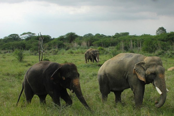Taj Mahal, Agra Fort & Elephant Rescue Sanctuary Private Day Trip - Agra Fort: Mughal power you can walk through