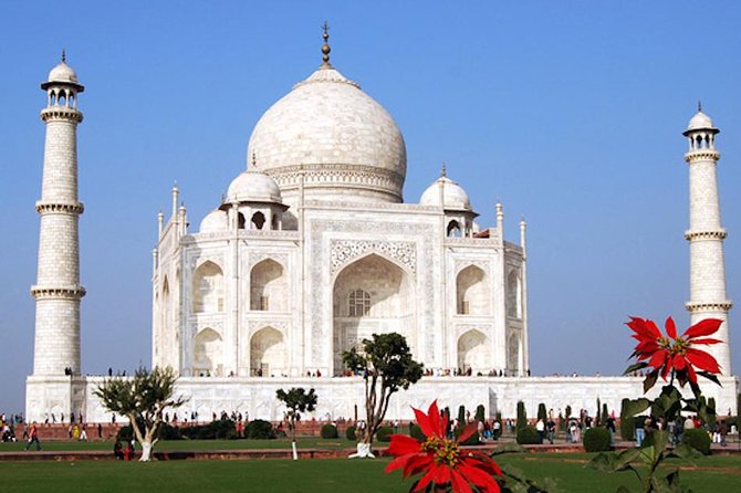 Taj Mahal & Agra Fort With Mother Teresa's Missionaries Of Charity From Delhi - Buffet Lunch in an Air-Conditioned Multi-Cuisine Setting