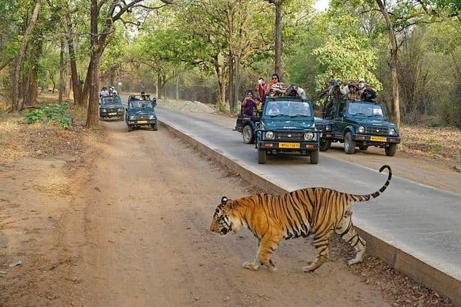 Taj Mahal & Agra Private Day Tour from New Delhi by Car with Meal - Lunch at DoubleTree by Hilton Agra, then the Baby Taj