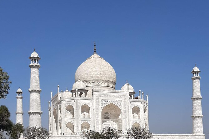 Taj mahal Private Tour with Entry Ticket and Guide - Price and value: what $15 per person really covers