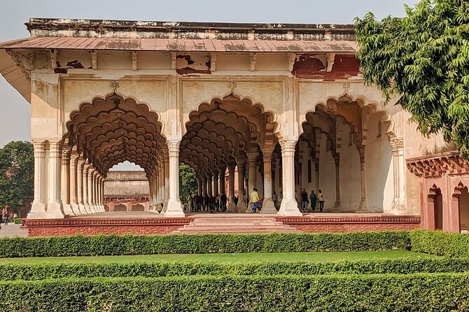 Taj Mahal Sunrise Tour with Elephant Conservation From Delhi - The Real Hook: A Sunrise Taj Mahal With Less Stress