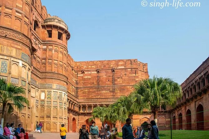Taj Mahal Sunrise Tour with Elephant Conservation From Delhi - Price and Value: What You Are Paying For