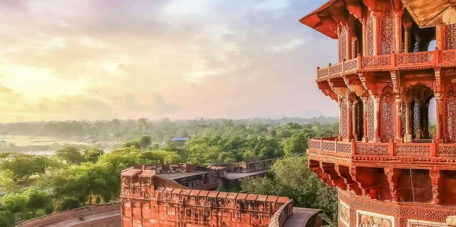Taj Mahal Tour with Optional Wildlife Rescue Center Visit - Price and value for a sunrise Taj plus wildlife option