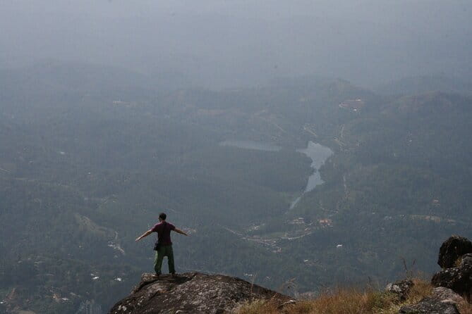 Tea planation walking In Munnar- (by Munnar Info) - Guides you will actually want to listen to