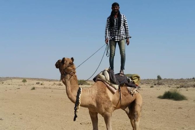 Thar Desert Camel Tour, Guide with over 25 years of experience! - Key takeaways before you go