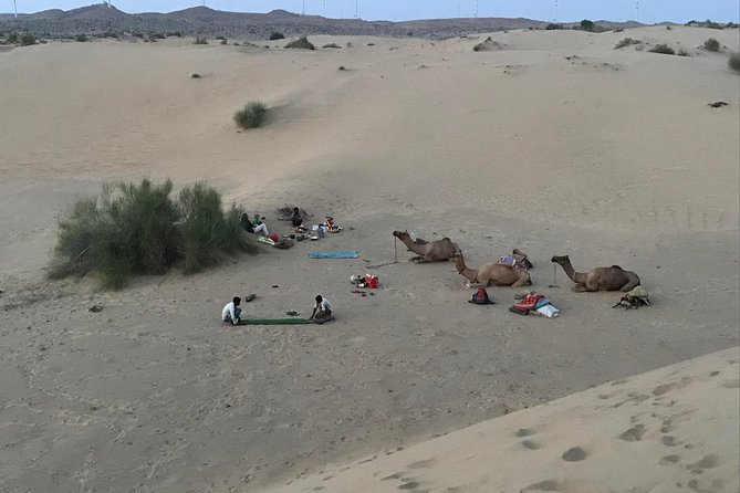 Thar Desert Camel Tour, Guide with over 25 years of experience! - Getting from Jaisalmer to the desert edge without drama