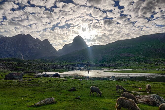 The Best Monsoon Trek: Kashmir Great Lakes - Tarsar Lake Day: A Much Nicer Pace
