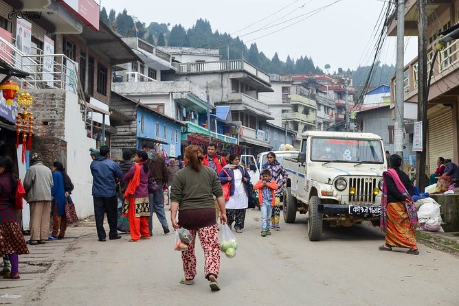 The Land Mark Tour (Nautical Day Darjeeling To Mirik crusade) - Why the Darjeeling to Mirik drive feels like a tea-country slideshow