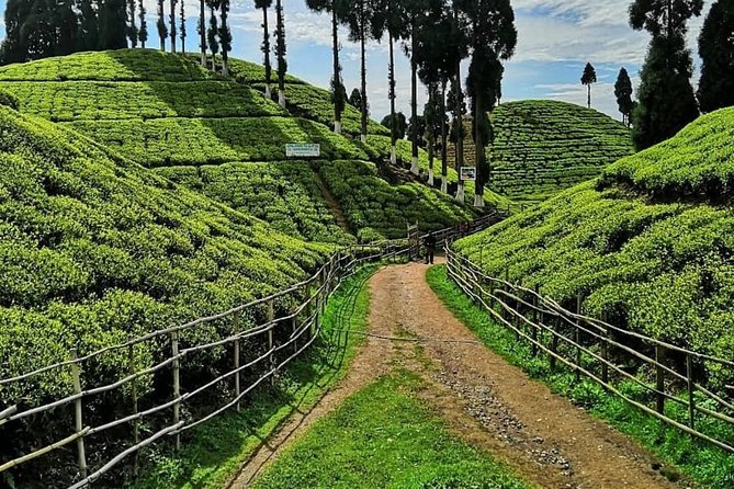 The Land Mark Tour (Nautical Day Darjeeling To Mirik crusade) - Stop 1: Simana View Point and the odd thrill of the Nepal side