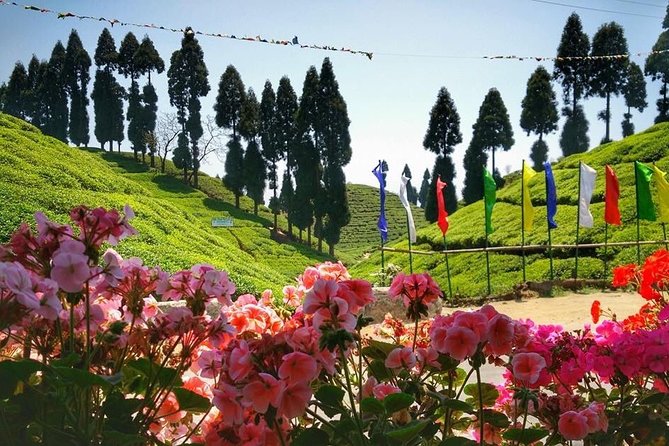 The Land Mark Tour (Nautical Day Darjeeling To Mirik crusade) - Stop 2: Pashupatinagar market, where imported goods meet border life