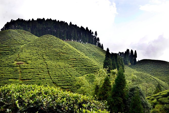 The Land Mark Tour (Nautical Day Darjeeling To Mirik crusade) - Private comfort and the 9:00 am start that keeps you from wasting daylight