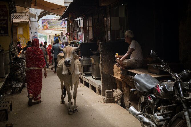 The Ultimate 3 Days in Varanasi - How to Spend 39 Hours - For First Timers - A first-timer Varanasi game plan that actually works
