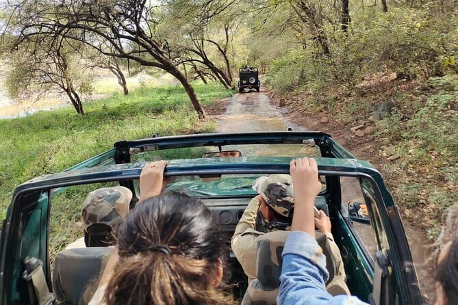 Tiger Safari in Ranthambore national park | Canter Options - Pickup and meeting point: where to go so you don’t waste safari minutes