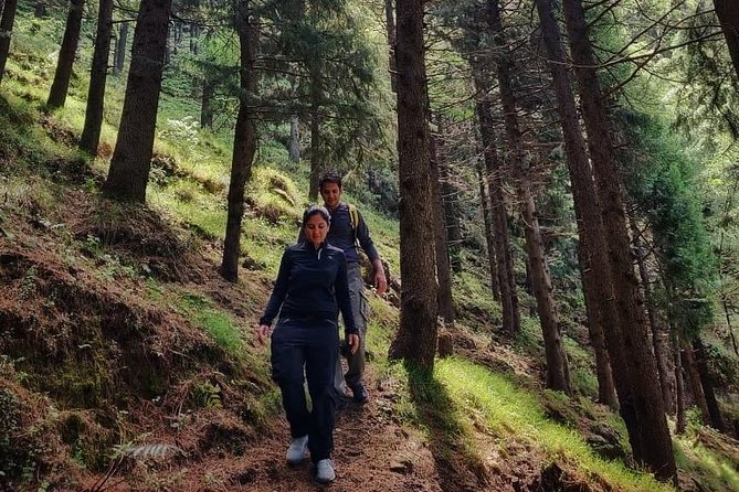 Top Tibba Trek - Mussoorie - Your Guide, the First Aid Kit, and the Value of Safety