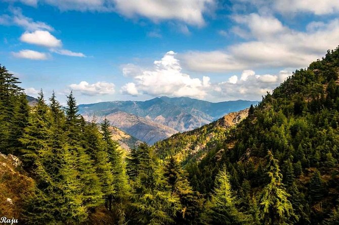 Top Tibba Trek - Mussoorie - Price, Value, and Who This Trek Makes Sense For