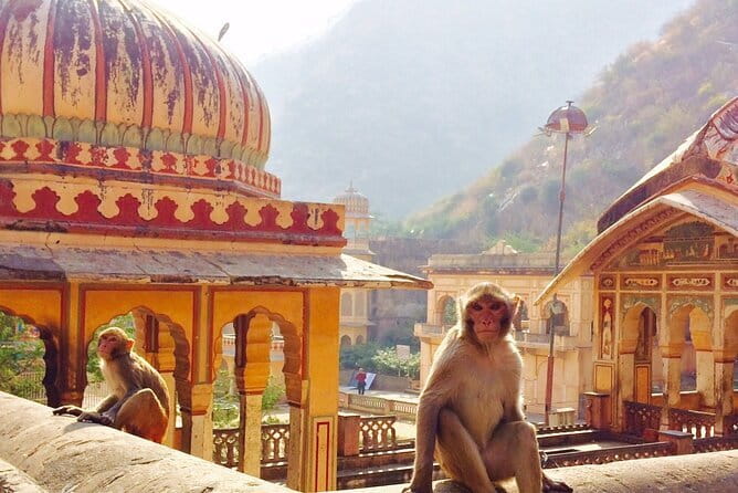 Travel Through the Streets of Jaipur by Tuktuk with a Local - How long do you have: 1 to 8 hours, built to fit your schedule