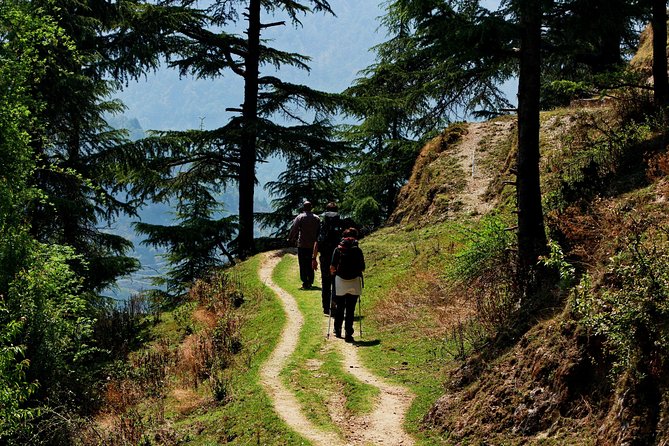 Trek's around Mussoorie - Quick hits before you go