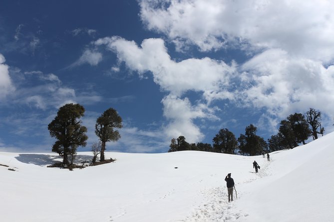 Trek's around Mussoorie - Entering Mussoorie with a guide, not a crowd