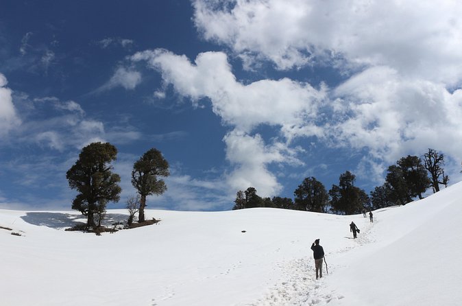 Trek's around Mussoorie - Mountain Quail hopes, and how to think about wildlife