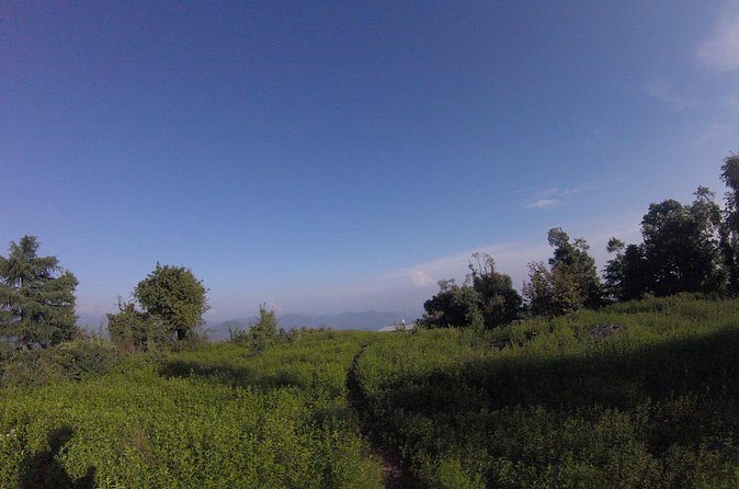 Trek's around Mussoorie - Getting that 360-degree view without the scramble stress