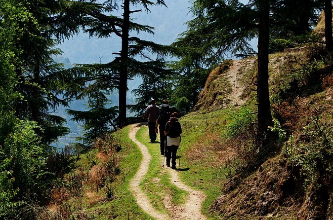 Trek's around Mussoorie - Price and value, with entrance fees folded in