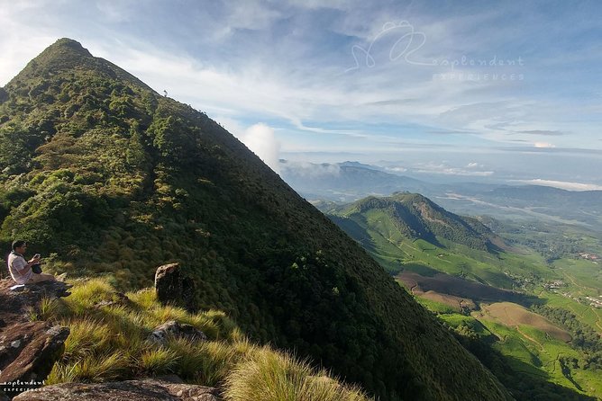 Trekking in Munnar - Shola forest detour: private coffee and cardamom, plus endemic bird chances