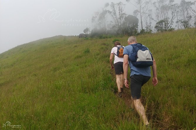 Trekking in Munnar - What to pack for a 4-hour Munnar trek