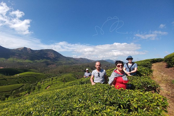 Trekking in Munnar - Entering the ridge walk: grasslands, rocky slopes, and tea in the same frame