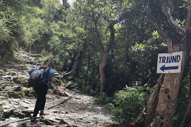 Triund Trek - Triund Trek: big Himalayan views with small expedition energy