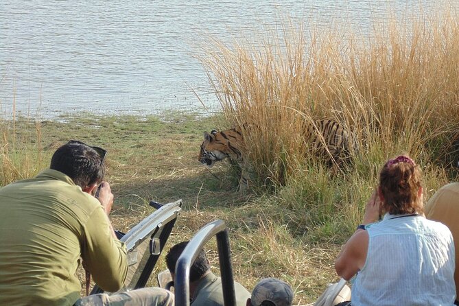 Two Night Safari Experience Ranthambore National Park &Transfers - How this Ranthambore plus Chambal plan really plays out