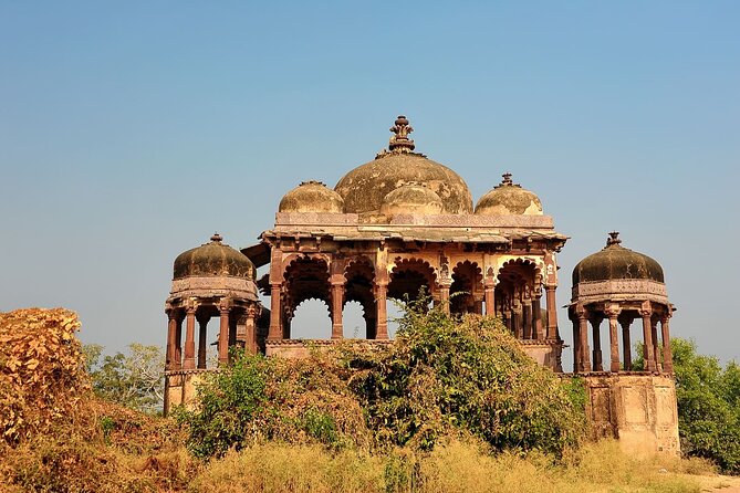 Two Night Safari Experience Ranthambore National Park &Transfers - The afternoon safari: your second chance to catch animal timing
