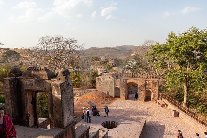 Two Night Safari Experience Ranthambore National Park &Transfers - What to know about shared safaris and zone changes