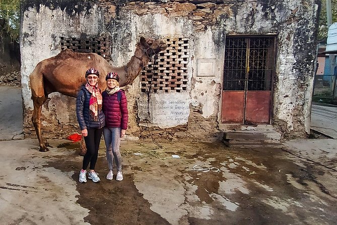 Udaipur Bicycle Tour - How tough is it, really, on a 3-hour Udaipur morning?