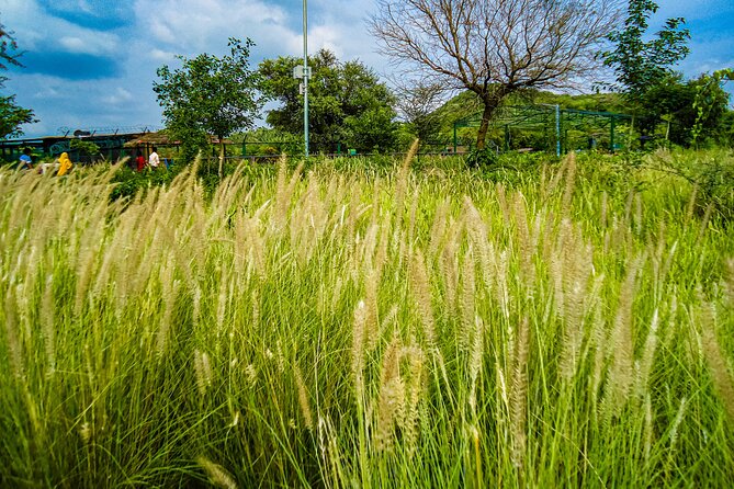 Uncover Hidden Treasures of Rural Life on a Village Tour - What $73.03 Covers and What You Still Pay