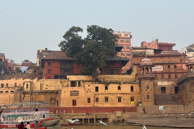 Varanasi Day Tour with Temples & Ganga Aarti – Dawn to Dusk - Price and logistics: is $128 good value for this much ground?