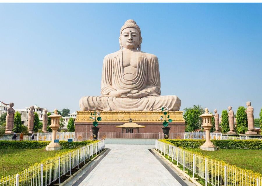 Varanasi to Bodhgaya: A Day of Spiritual Exploration - The Bodhi Tree: why this stop feels different from a normal photo spot