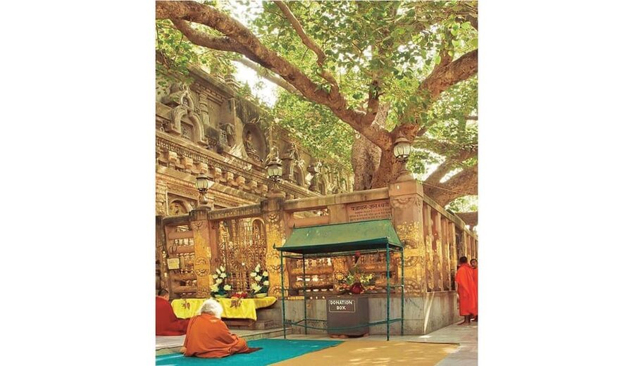 Varanasi to Bodhgaya : A day trip of Enlightment exploration - Mahabodhi Temple Complex and the Bodhi Tree: where the pace slows