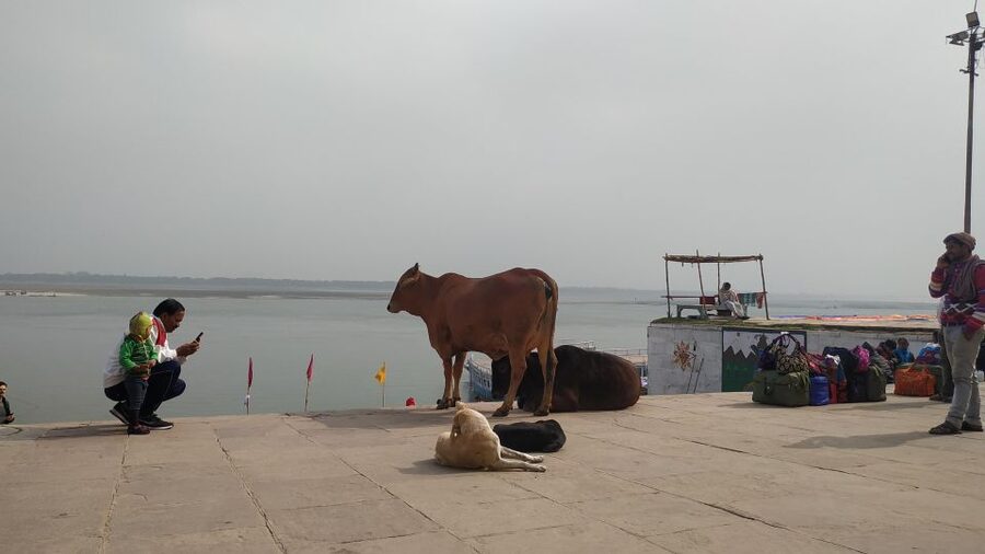 Varanasi Walking and Heritage Tour - Kashi Vishwanath Temple Corridor: navigating awe without getting lost