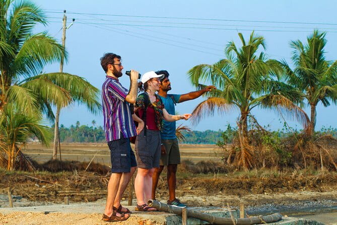 Village Bike Tour & Birdwatching - Stop 2: Chellanam Harbour and the rhythm of fishing life