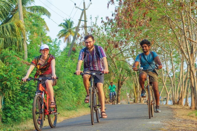 Village Bike Tour & Birdwatching - Changaram Wetlands by ferry: birdwatching with bikes in tow