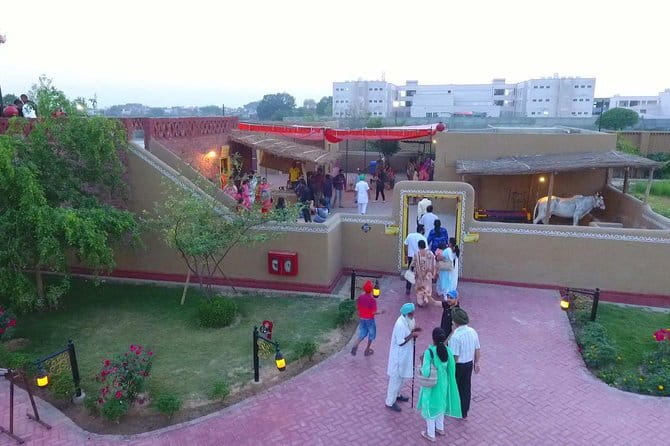 Wagah Border Flag Retreat Ceremony - Who this tour suits best (and who might want a different plan)